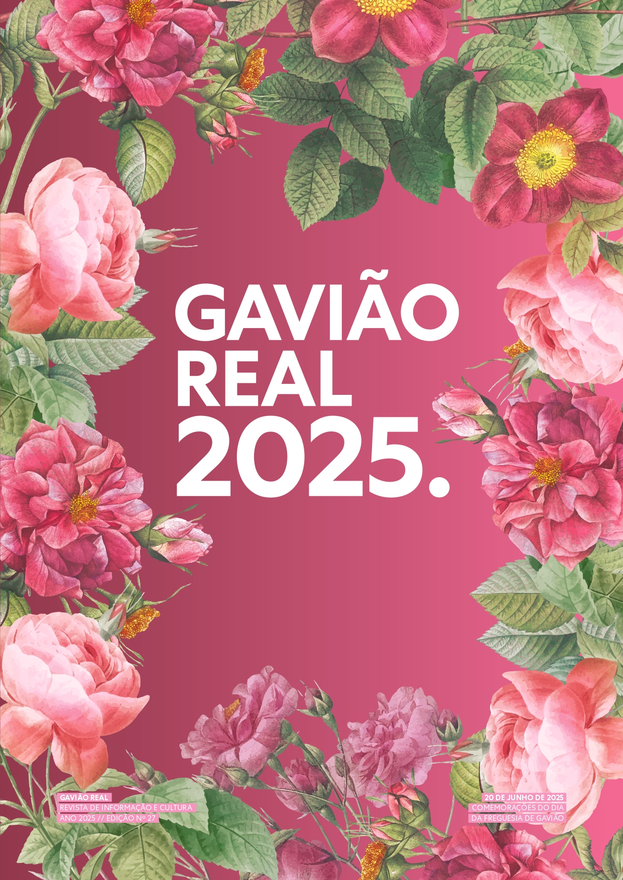 Revista Gavião Real